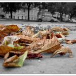 Autumn is not welcome...