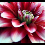 <b>Magic of the Color</b>