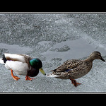 Až tě chytím, tak tě....