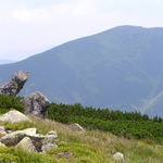 Na jižní straně Chopku (Nízké Tatry)