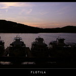 Flotila