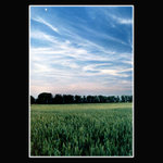 Podvečer ďaleko pred žatvou