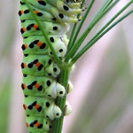 Držím se co můžu!