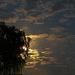 Měsíček na nebi hlubokém