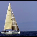 Na obzoru plachta bílá...