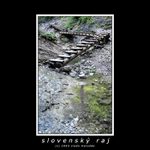 Slovenský raj - Suchá belá