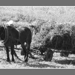 ... tolik mi tam toho nenakladej!!!