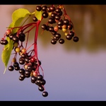 Podzim přichází...