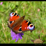 Ke startu připraven...