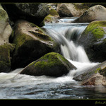 Šumavská Vydra II.