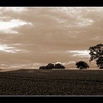 Prochazka do poli IV.