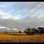 Prochazka do poli VI.