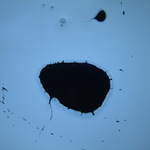 :::  IN SINE IN MY BRAIN  :::