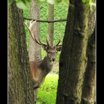 Nikdy nevíte, kdo Vás sleduje... :-)