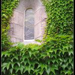 Okno do cizích světů