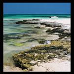 <b>.: Wallpaper :.</b>