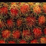 Lichi