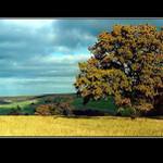 Podzim v Certoryjich