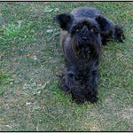 _: <B> Bonnie </B> :_