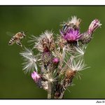 Na cestě k něčemu dobrému...