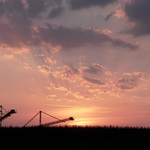 ocelový brontosauři