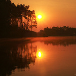 letní ráno. čekaná na kačeny