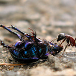 Velikost není důležitá, hlavní je styl