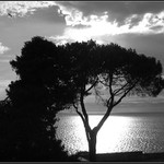 podvečer na pobřeží Jadranu