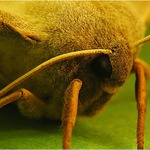 Mila navsteva v podvecer