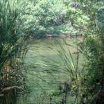 Přítok řeky Ropotamo