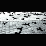 <b> ... chaos v dusi ... </b>