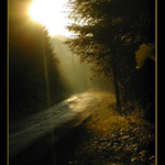 Po dešti I.<BR>(Šumava)