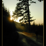 Po dešti II.<BR>(Šumava)