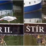 pokus o reinkarnaci :)