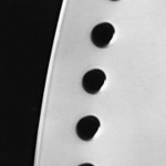 ...plnou parou vpřed