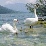 TRI PRDELKY, MAMA A TATA.