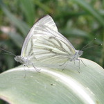 No a co? Máme se rádi!!!