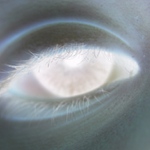 každý máme slunce v sobě