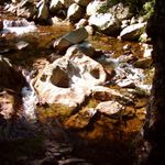 Tak trochu sloní nos