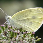 Ešte jeden a končim...