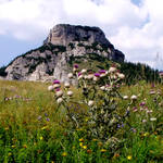 tŕnistá cesta na vrchol