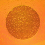 Pre tych, čo radi  "pozeraju na dno pohárika"