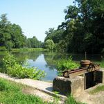 Zátiší u rybníčka