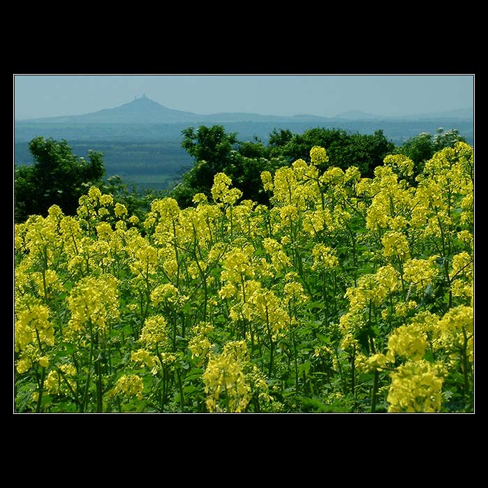 Vzpominka na krasny den....