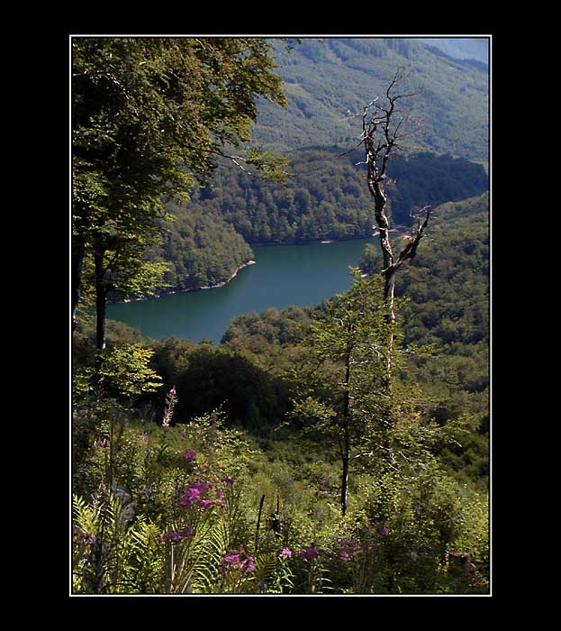 ...Morske oko...