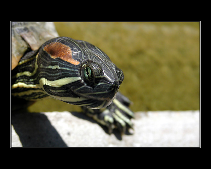 ...bud daj najest alebo neotravuj...