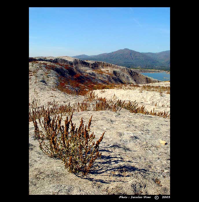 <b> - White sand - </b>czech