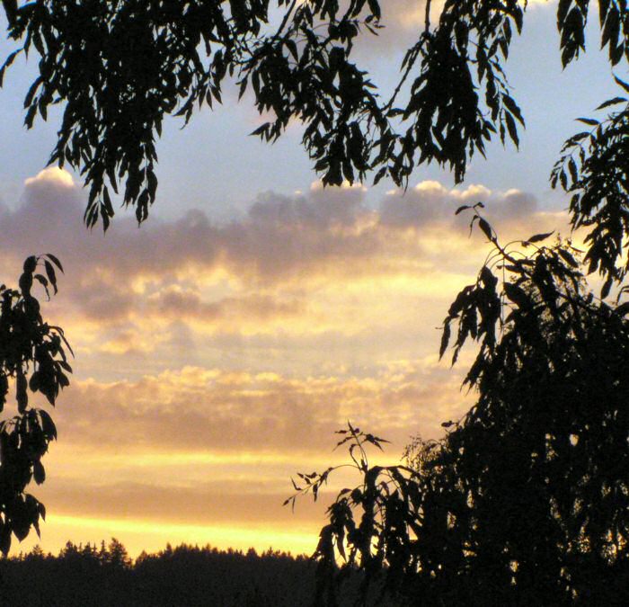 ..:: Západofka 3 ::..