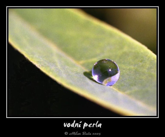 vodní perla