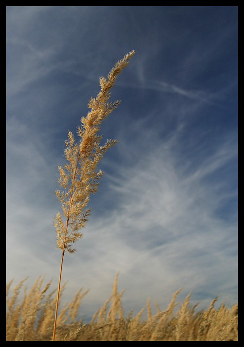 Na pražské periferii